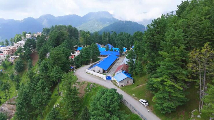 Muree
